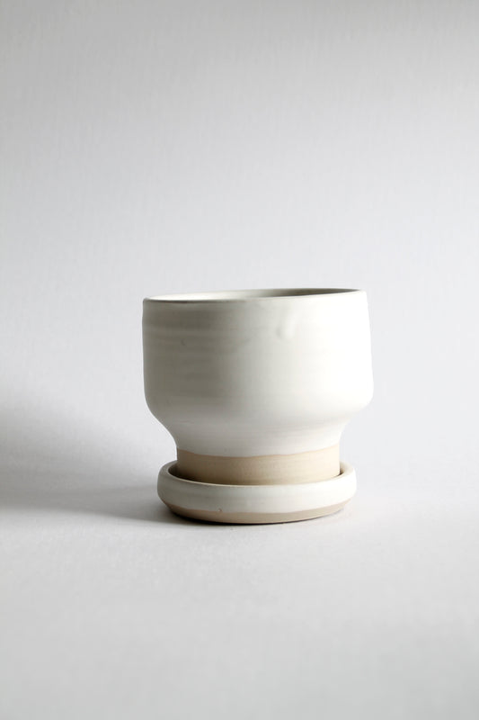 Pot