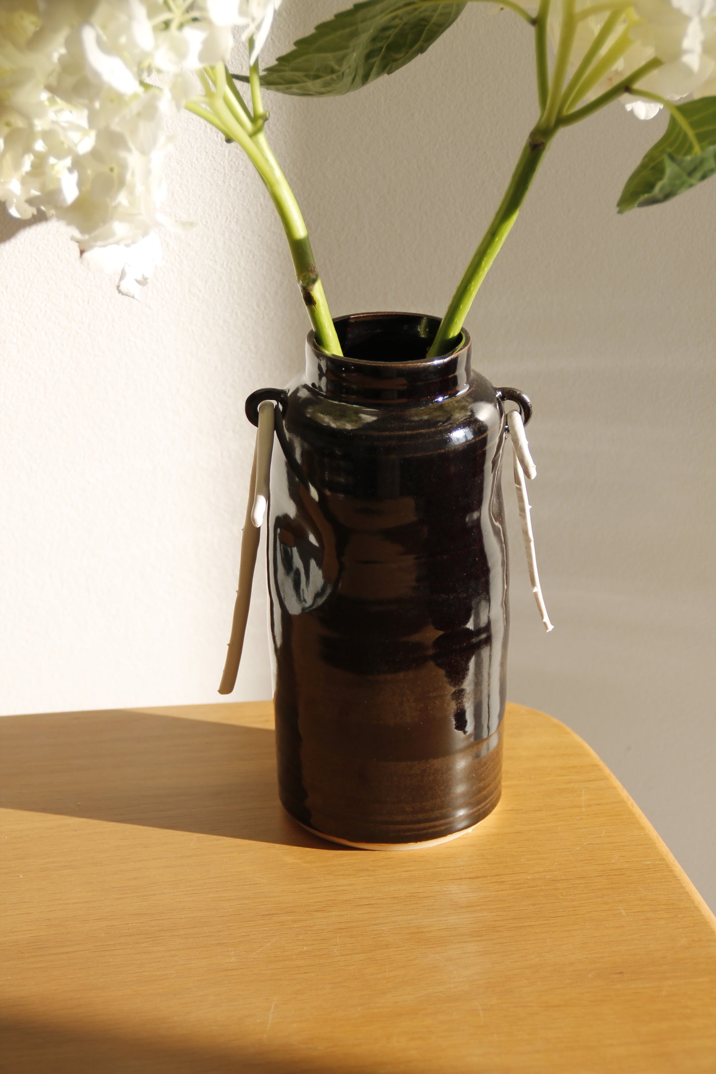 Vase Brassia 02
